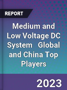 Medium and Low Voltage DC System Global and China Top Players Market