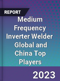 Medium Frequency Inverter Welder Global and China Top Players Market