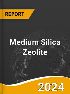 Medium Silica Zeolite Market