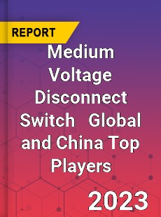 Medium Voltage Disconnect Switch Global and China Top Players Market