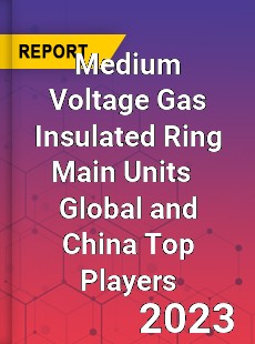 Medium Voltage Gas Insulated Ring Main Units Global and China Top Players Market