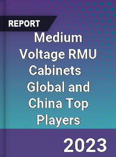 Medium Voltage RMU Cabinets Global and China Top Players Market