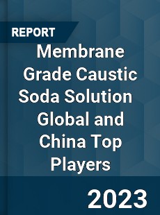 Membrane Grade Caustic Soda Solution Global and China Top Players Market