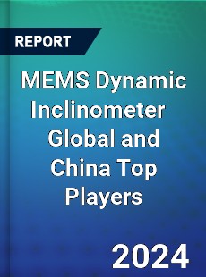 MEMS Dynamic Inclinometer Global and China Top Players Market