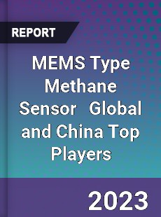 MEMS Type Methane Sensor Global and China Top Players Market