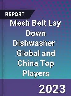 Mesh Belt Lay Down Dishwasher Global and China Top Players Market