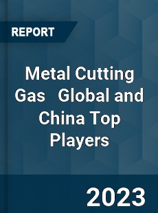 Metal Cutting Gas Global and China Top Players Market