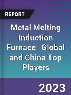 Metal Melting Induction Furnace Global and China Top Players Market