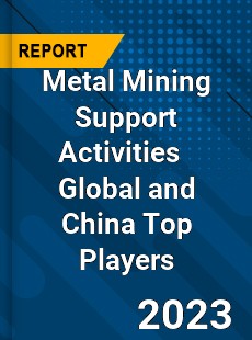 Metal Mining Support Activities Global and China Top Players Market