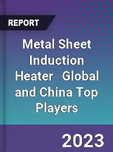 Metal Sheet Induction Heater Global and China Top Players Market