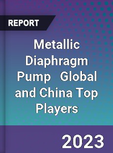 Metallic Diaphragm Pump Global and China Top Players Market