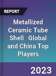 Metallized Ceramic Tube Shell Global and China Top Players Market