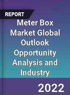 Meter Box Market Global Outlook Opportunity Analysis and Industry