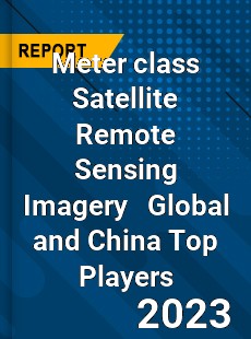 Meter class Satellite Remote Sensing Imagery Global and China Top Players Market