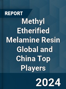 Methyl Etherified Melamine Resin Global and China Top Players Market