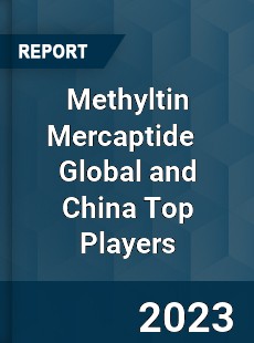 Methyltin Mercaptide Global and China Top Players Market