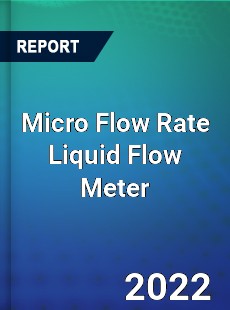 Micro Flow Rate Liquid Flow Meter Market