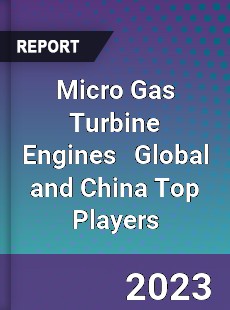 Micro Gas Turbine Engines Global and China Top Players Market