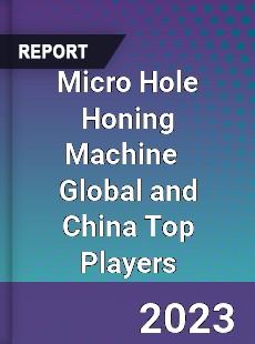 Micro Hole Honing Machine Global and China Top Players Market