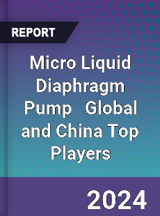 Micro Liquid Diaphragm Pump Global and China Top Players Market