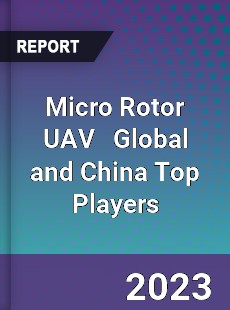 Micro Rotor UAV Global and China Top Players Market