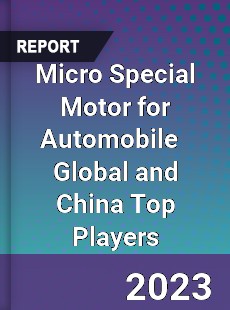 Micro Special Motor for Automobile Global and China Top Players Market