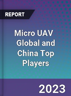 Micro UAV Global and China Top Players Market