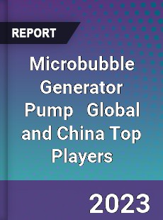 Microbubble Generator Pump Global and China Top Players Market