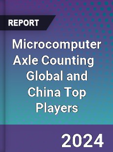 Microcomputer Axle Counting Global and China Top Players Market