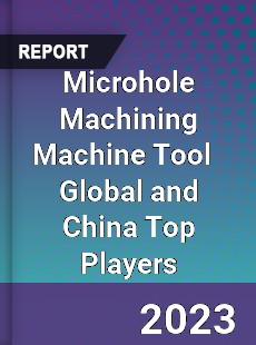 Microhole Machining Machine Tool Global and China Top Players Market