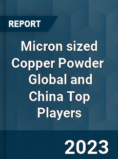 Micron sized Copper Powder Global and China Top Players Market