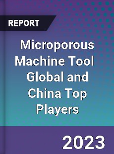 Microporous Machine Tool Global and China Top Players Market