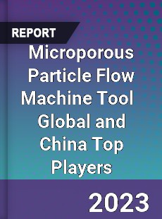 Microporous Particle Flow Machine Tool Global and China Top Players Market