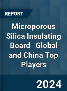 Microporous Silica Insulating Board Global and China Top Players Market