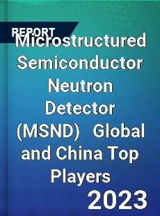 Microstructured Semiconductor Neutron Detector Global and China Top Players Market