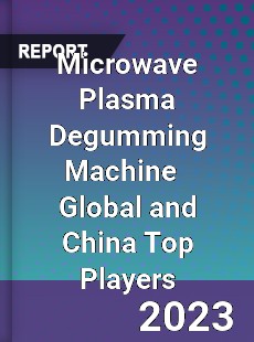 Microwave Plasma Degumming Machine Global and China Top Players Market