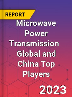 Microwave Power Transmission Global and China Top Players Market