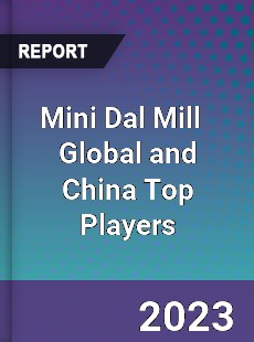 Mini Dal Mill Global and China Top Players Market