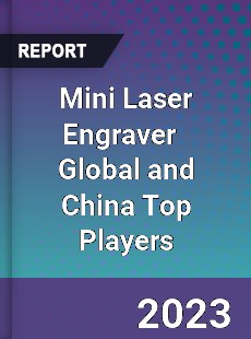 Mini Laser Engraver Global and China Top Players Market