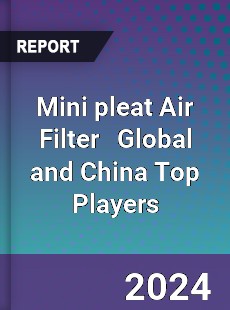 Mini pleat Air Filter Global and China Top Players Market