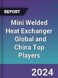 Mini Welded Heat Exchanger Global and China Top Players Market