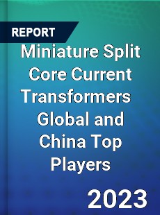 Miniature Split Core Current Transformers Global and China Top Players Market