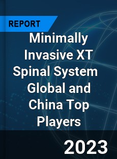 Minimally Invasive XT Spinal System Global and China Top Players Market