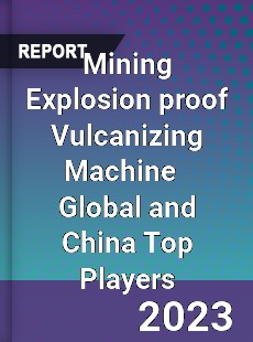 Mining Explosion proof Vulcanizing Machine Global and China Top Players Market