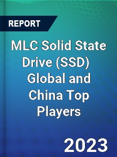 MLC Solid State Drive Global and China Top Players Market