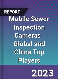 Mobile Sewer Inspection Cameras Global and China Top Players Market