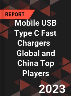 Mobile USB Type C Fast Chargers Global and China Top Players Market