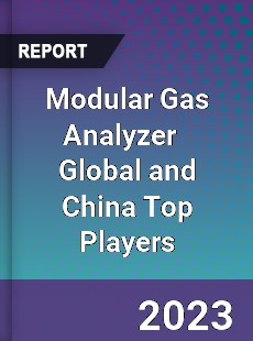 Modular Gas Analyzer Global and China Top Players Market