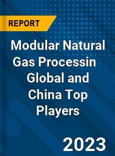 Modular Natural Gas Processin Global and China Top Players Market