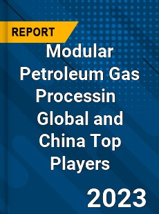 Modular Petroleum Gas Processin Global and China Top Players Market